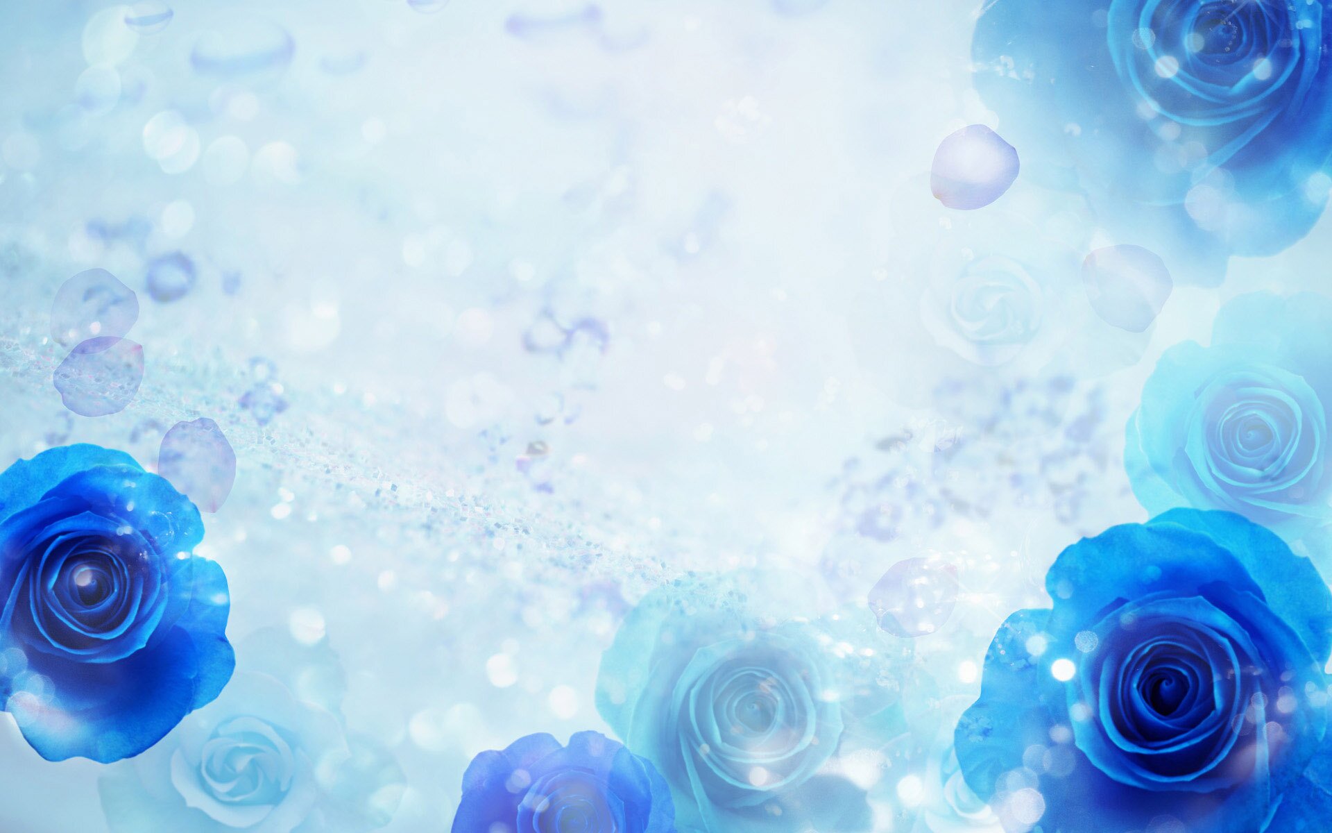 1443618793_Blue-Rose-Desktop-Wallpapers-Download.jpg
