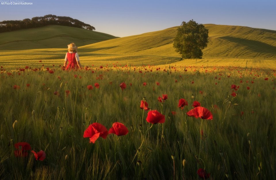 1444135528_flowers-1.jpg