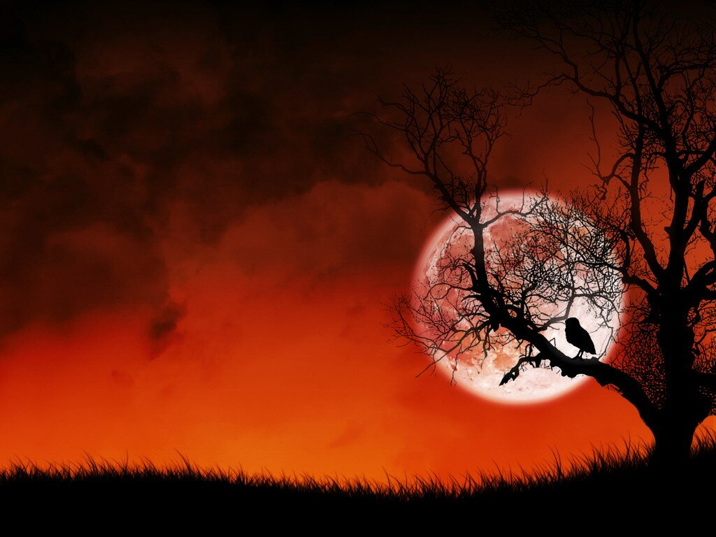 1444285561_Window-XP-Full-HD-Wallpapers-1.jpg