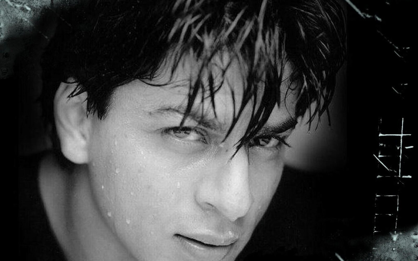 1446620338_Shahrukh-Khan-Wallpaper.jpg