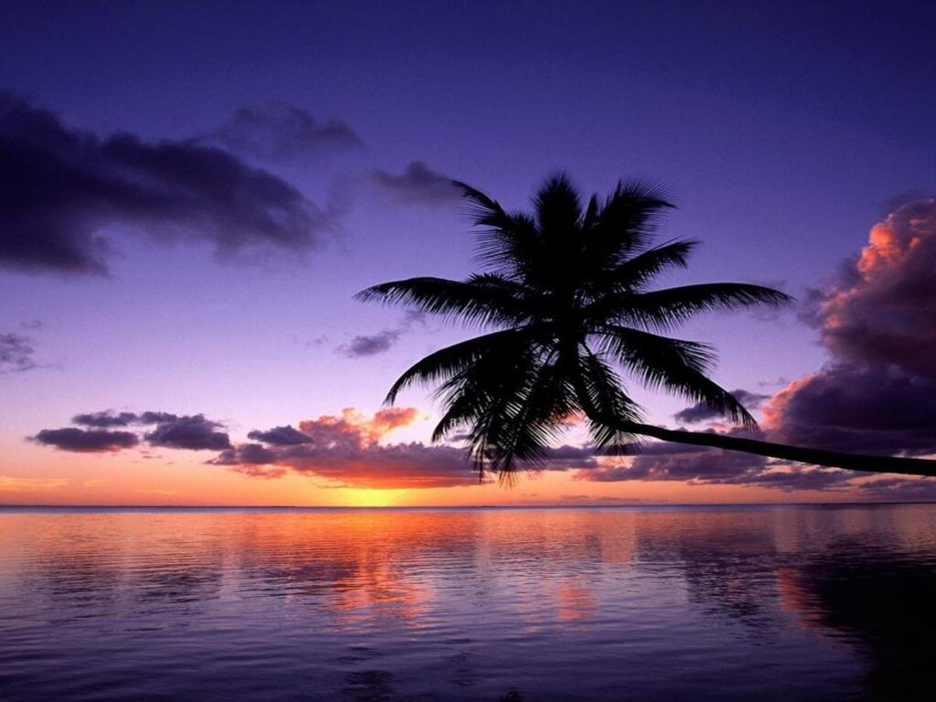 1447335030_Purple-Sunset-Wallpapers.jpg