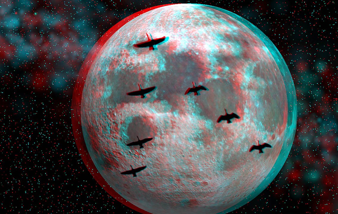 3D Images-1