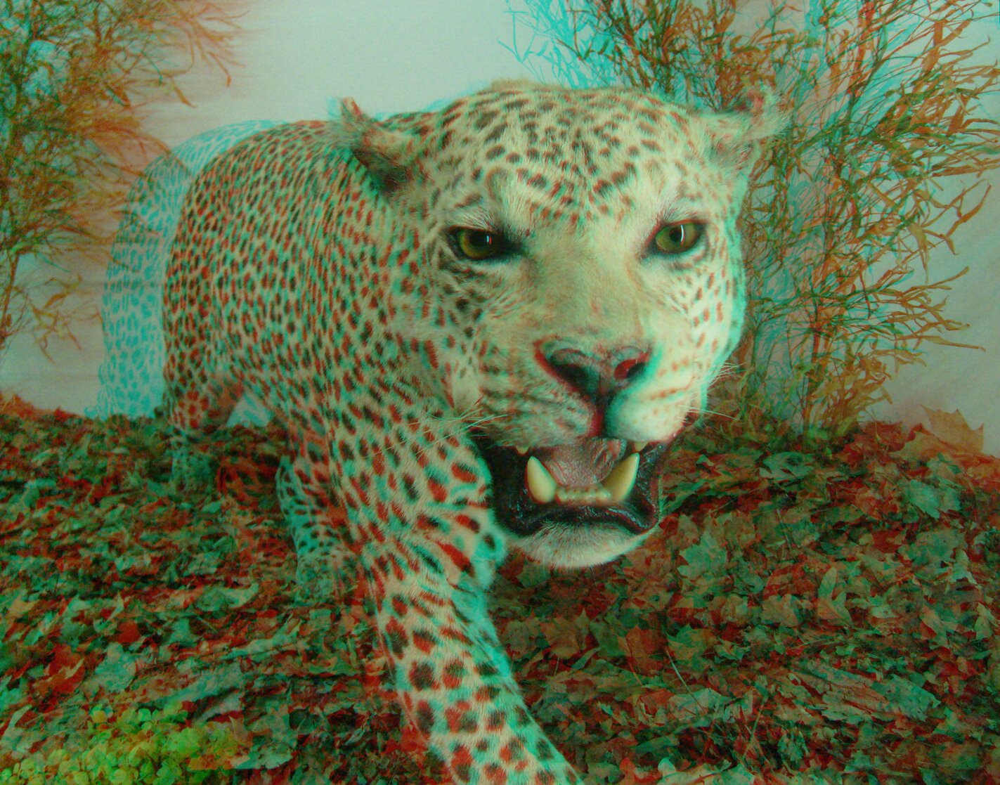 3D Images-10