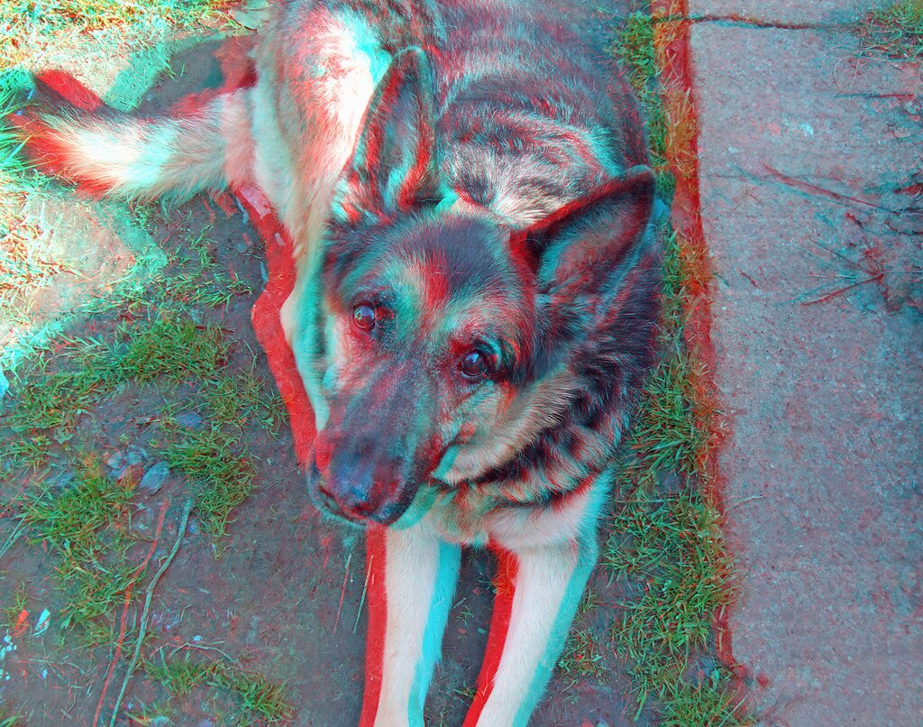 3D Images-8