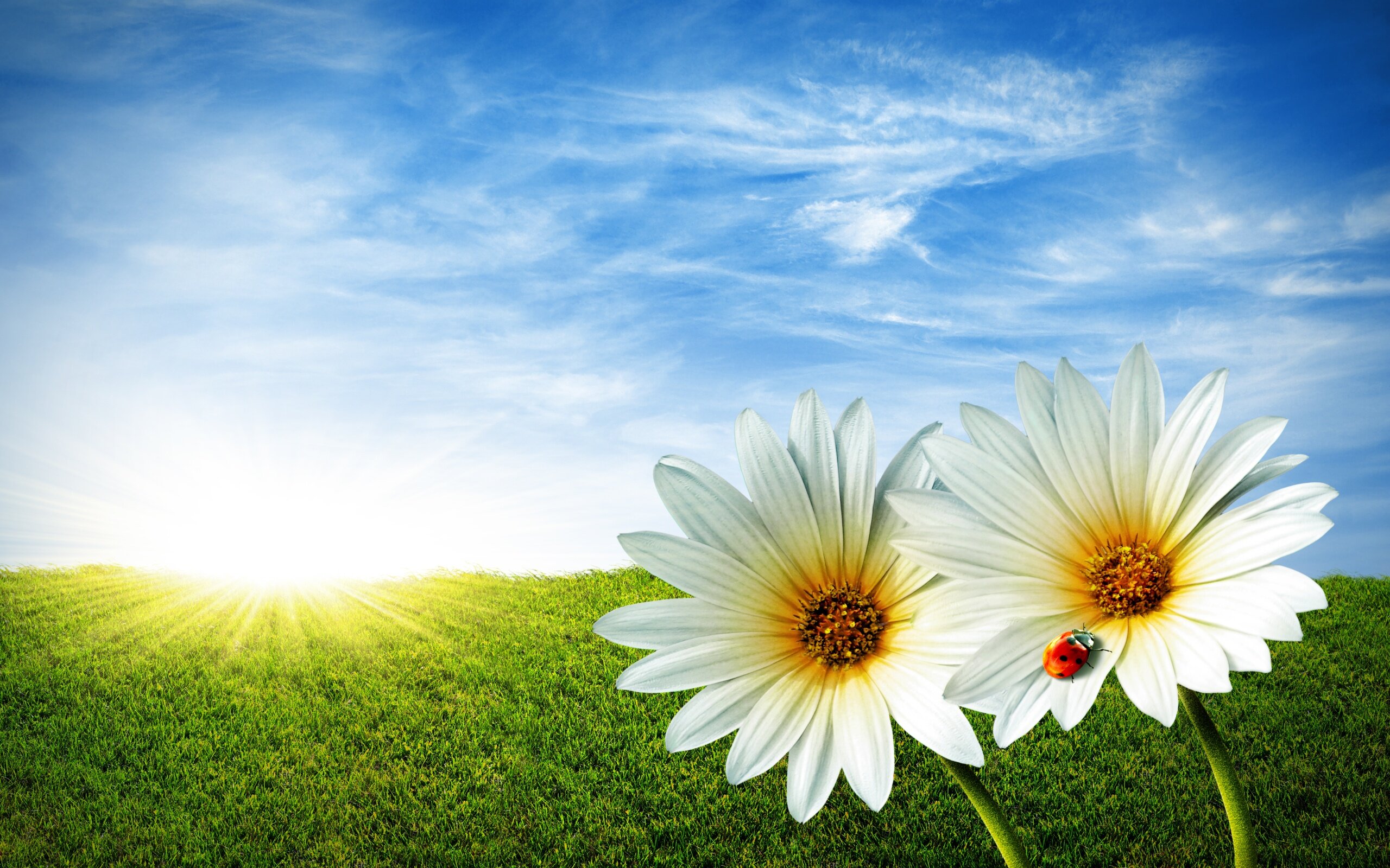 3d nature wallpapers (11)