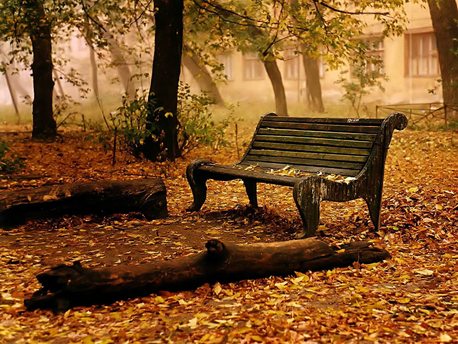3d nature wallpapers (12)