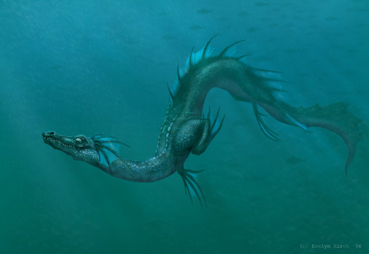 sea dragon wallpaper (9)