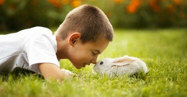 1449741793_rabbit_wallpaper_086-1024x682.jpg